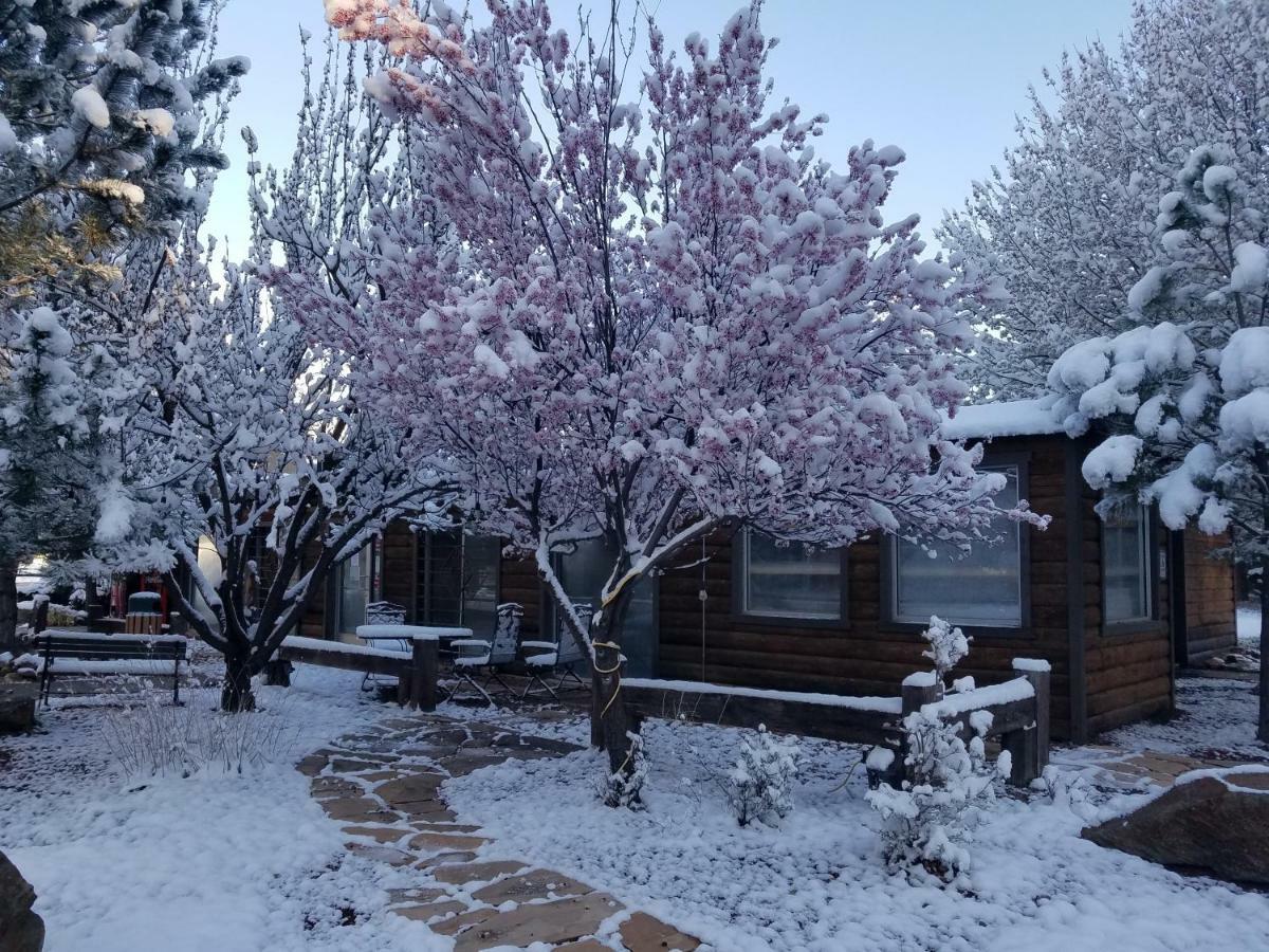 West Winds Lodge Рюидозо Екстериор снимка